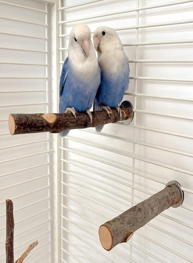 TANOMA 4PCS Natural Wood Bird Perches for Cage, Parrot Cage Perch Stand, Cage Accessories, Wooden Platform for Birds, Toys for Parakeets, Cockatiel, Budgie, Conure - Image 4
