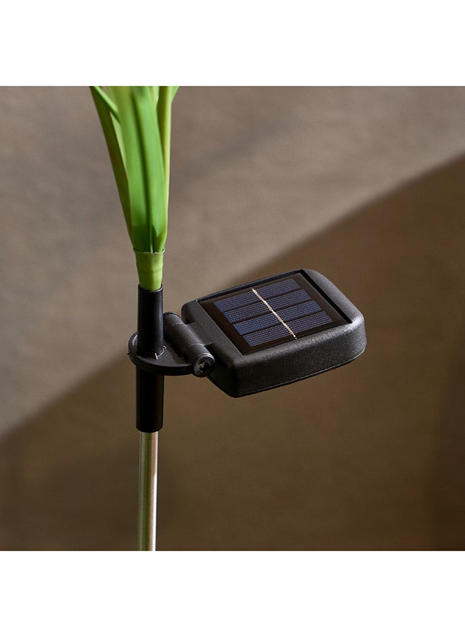 Home Box Lyn Solar LED Flower Stick 10 x 77 x 10 cm  - Image 4