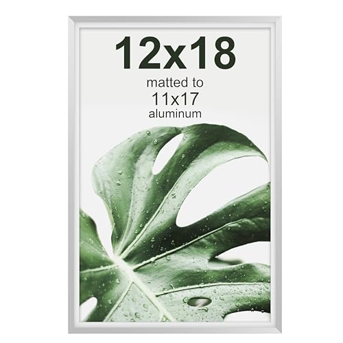 FrameWorks 12”x18” with 11”x17” Mat – Silver Deluxe Modern Aluminum Picture Frame with Tempered Glass and Removable Mat - Image 1
