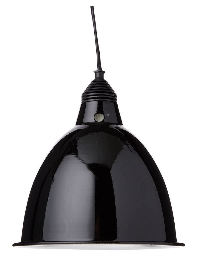 Exo Terra Reptile Dome (8" inch, 21cm) - Image 1