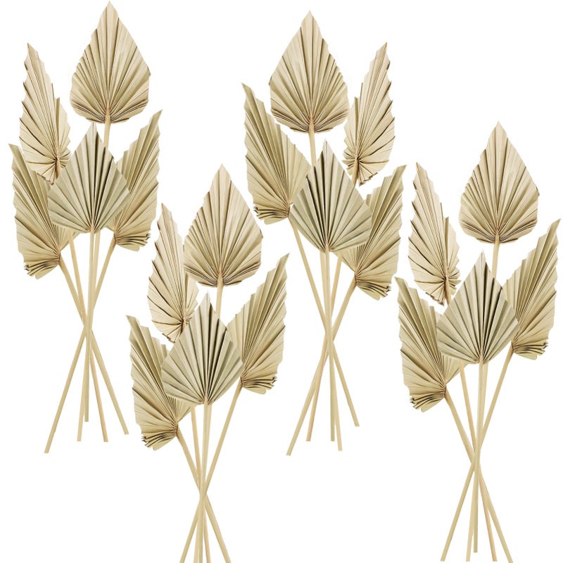 Cenkaiyang 20 Pcs Boho Dried Palm Spears Leaves Real Palm Fans with Stem Boho Home Decor for Vase Wedding Office Home 20 Pieces