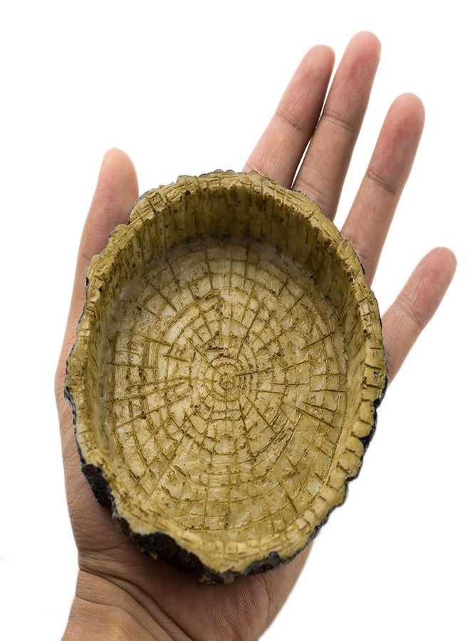 OMEM Reptile Natural Bowl Food and Water Dish Resin Made (Tree bark) - Image 4