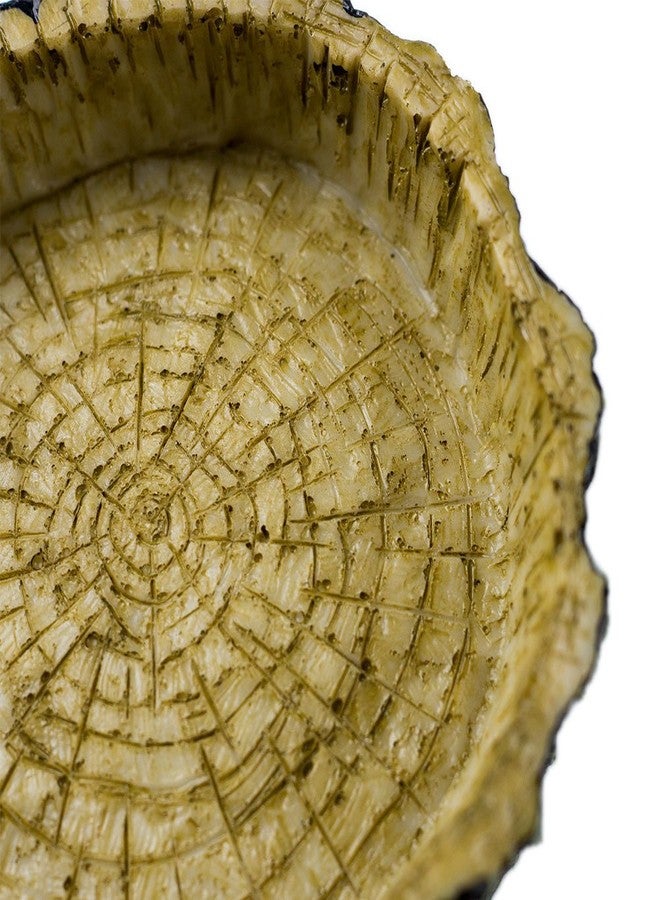 OMEM Reptile Natural Bowl Food and Water Dish Resin Made (Tree bark) - Image 3