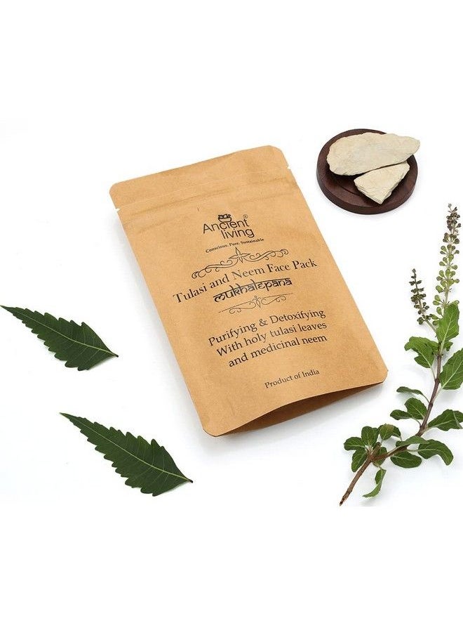 Ancient Living Organic Tulasi & Neem Face Pack With Purifying And Detoxifying Properties 40 Gm  - Image 3
