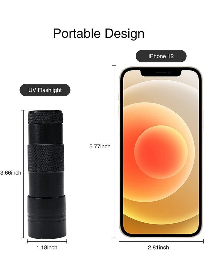NEXT GEEK 395-400nm 12 LED ضوء UV مصباح يدوي مقاوم للماء ضوء فوق بنفسجي (معدني) - Image 2