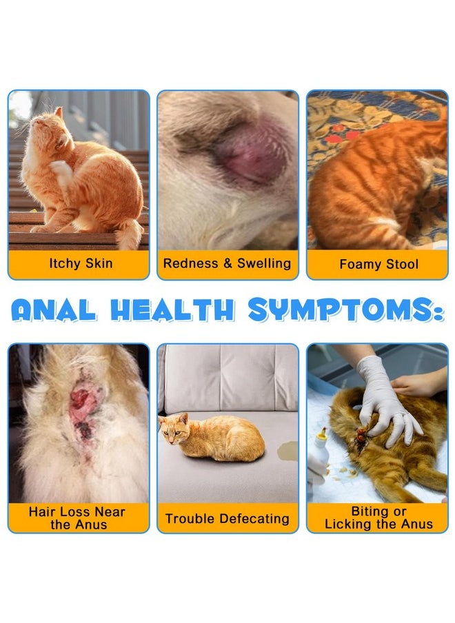 Alivo - Anal Gland Support Powder for Cats, Anal Gland Supplement Powder with Pumpkin and Probiotics Supports Cats Anal Gland Health, Pet Supplement Anal Gland Support Powder Treatment for Cats - 120g - Image 1