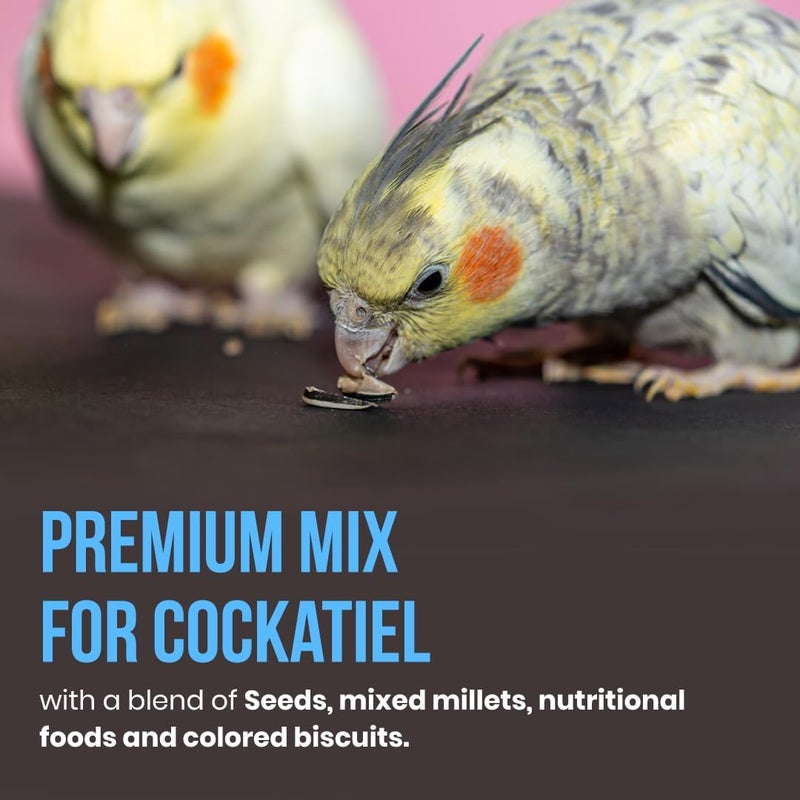 BRANDSFINITY Premium Bird Food For Cockatiel And Parakeet - Image 3