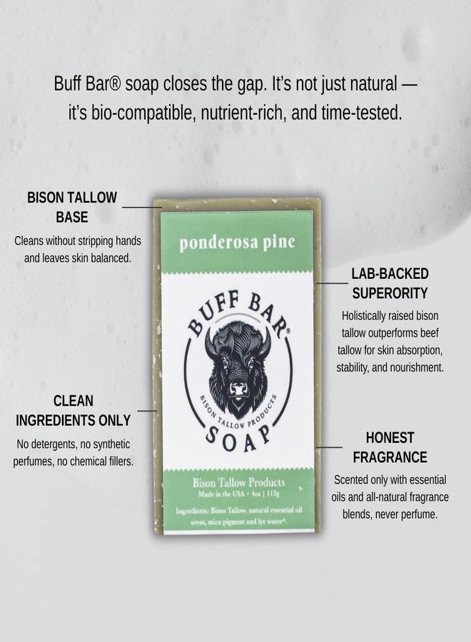 Big Crazy Buffalo Bison Tallow Buff Soap Bar, Ponderosa Pine, (2 pack - Scents of Pine, Cypress & Cedar - Cleans, Moisturizes, Soothes, Hydrates - No Dyes, Chemicals, or Preservatives - Image 4
