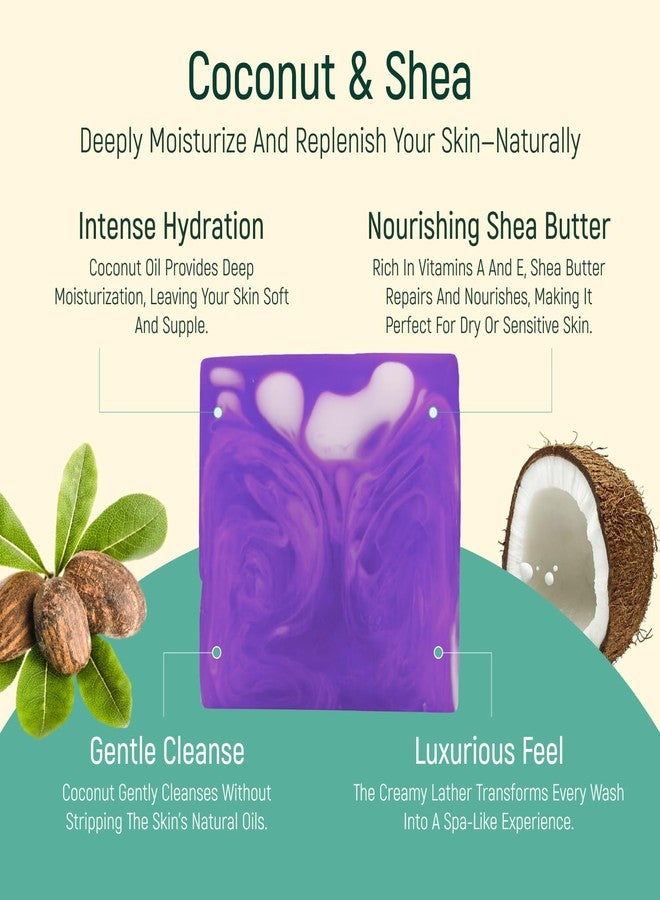 BAMBOEARTH Solid Moisturizing Body Wash Bar Soap - Natural Dry Gel Bodywash Shower Bars With Plant Based Essential Oil And Zero Waste Packaging - Use With Hair Shampoo & Conditioner (Lavender & Cedar) - Image 5