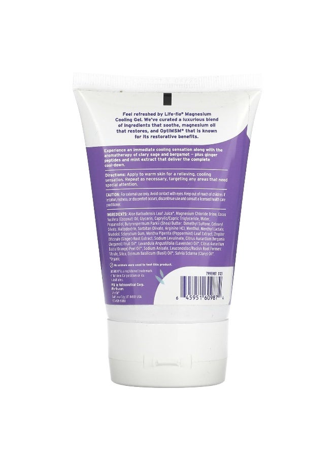 Life-flo Life-flo, Magnesium Cooling Gel, Sage & Mint, 3.4 fl oz (100 ml) 
