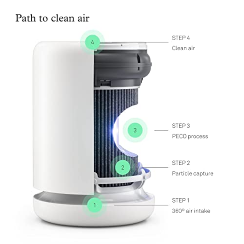 Molekule Air Mini & Air Mini+ PECO Filter - Nanocatalytic Filter for Healthy Air Quality - Eliminates Allergens & Viruses at a Molecular Level - Light-Activated - Home & Office Use - Image 3