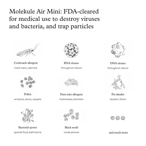 Molekule Air Mini & Air Mini+ PECO Filter - Nanocatalytic Filter for Healthy Air Quality - Eliminates Allergens & Viruses at a Molecular Level - Light-Activated - Home & Office Use - Image 5