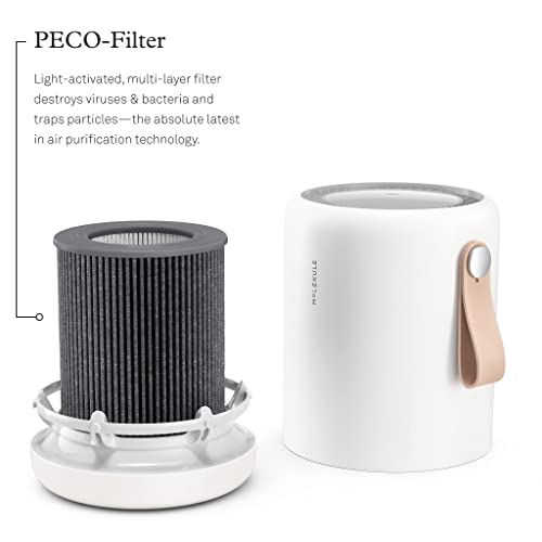 Molekule Air Mini & Air Mini+ PECO Filter - Nanocatalytic Filter for Healthy Air Quality - Eliminates Allergens & Viruses at a Molecular Level - Light-Activated - Home & Office Use - Image 2