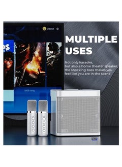 TIGER Portable Bluetooth Speaker Karaoke Machine for Adults & Kids | 2 Wireless Microphones | Portable Bluetooth Karaoke Speaker PA System | Singing Machine with Echo & Vocal Cut for Christmas (YS-203)  - Image 2