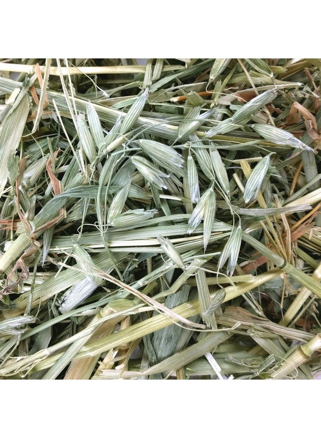 Oxbow Animal Health Oat Hay - All Natural Hay for Rabbits, Guinea Pigs, Chinchillas, Hamsters & Gerbils - 15 oz. - Image 4
