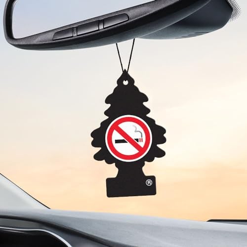 LITTLE TREES Air Fresheners Car Air Freshener. Hanging Tree Provides Long Lasting Scent for Auto or Home. No Smoking, 24 Air Fresheners - Image 5