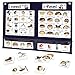 CHEFAN Feelings Chart Calm Down Corner Supplies Daycare Essentials Social Emotional Learning Activities Autism Learning Materials ADHD Tools for Classroom Daycare Home - Image 3