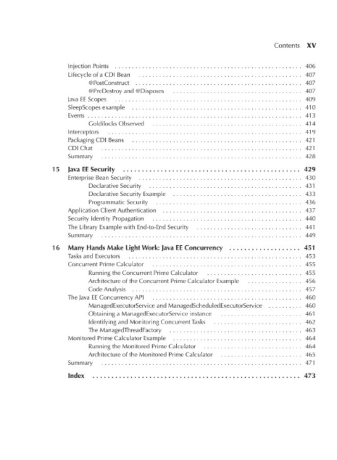 Java EE 7: The Big Picture Oracle - Image 3