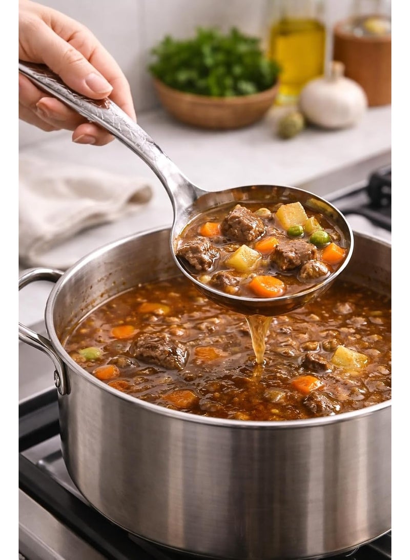 أداة مطبخ من الفولاذ المقاوم للصدأ، مقاومة للحرارة والصدأ، بمقبض مريح، آمنة للغسل في غسالة الأطباق للاستخدام اليومي (ملعقة تقديم فضية) - Image 2