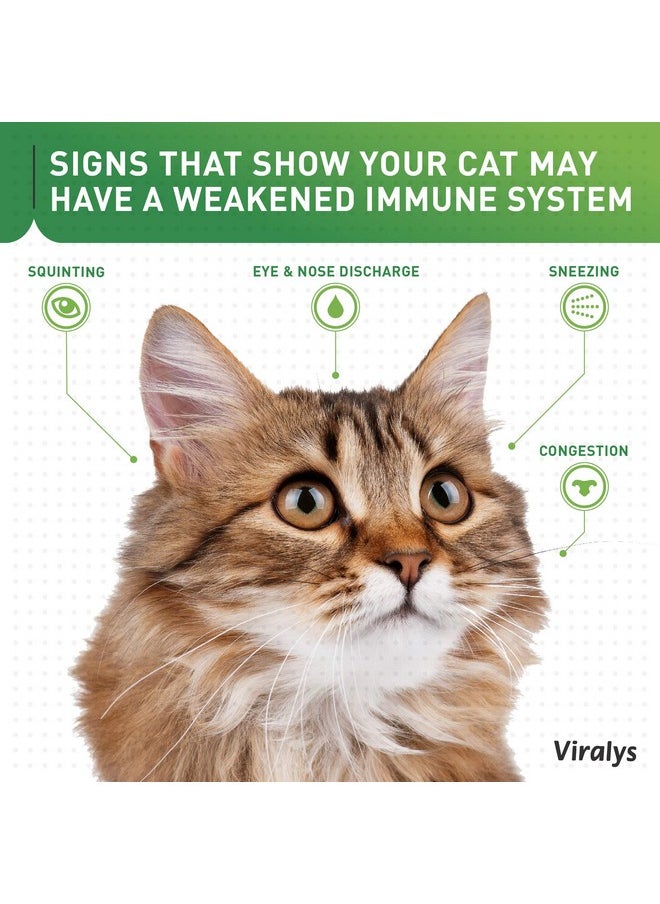 Vetoquinol - Viralys Gel LLysine Supplement For Cats, 5Oz  Cats & Kittens Of All Ages  Immune Health  Sneezing, Runny Nose, Squinting, Watery Eyes  Palatable Maple Flavor Lysine Gel - Image 1
