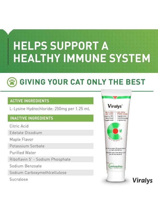 Vetoquinol - Viralys Gel LLysine Supplement For Cats, 5Oz  Cats & Kittens Of All Ages  Immune Health  Sneezing, Runny Nose, Squinting, Watery Eyes  Palatable Maple Flavor Lysine Gel - Image 1
