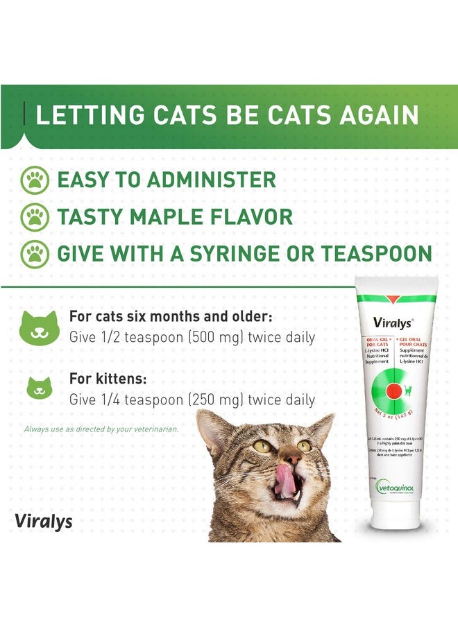Vetoquinol - Viralys Gel LLysine Supplement For Cats, 5Oz  Cats & Kittens Of All Ages  Immune Health  Sneezing, Runny Nose, Squinting, Watery Eyes  Palatable Maple Flavor Lysine Gel - Image 1