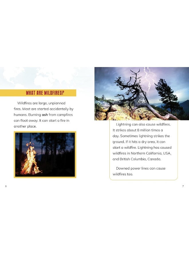 null - Wildfires - Image 1
