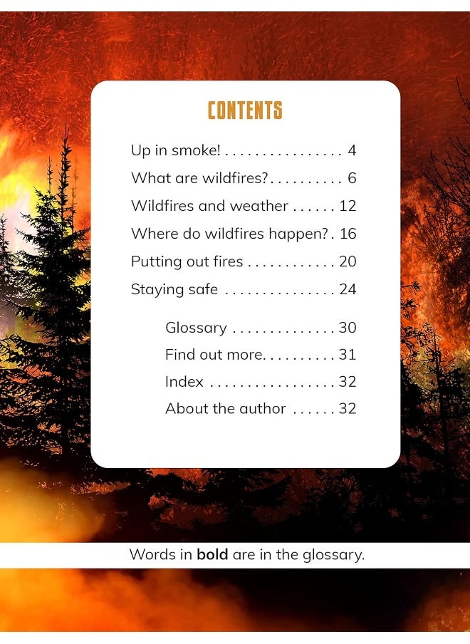 null - Wildfires - Image 1