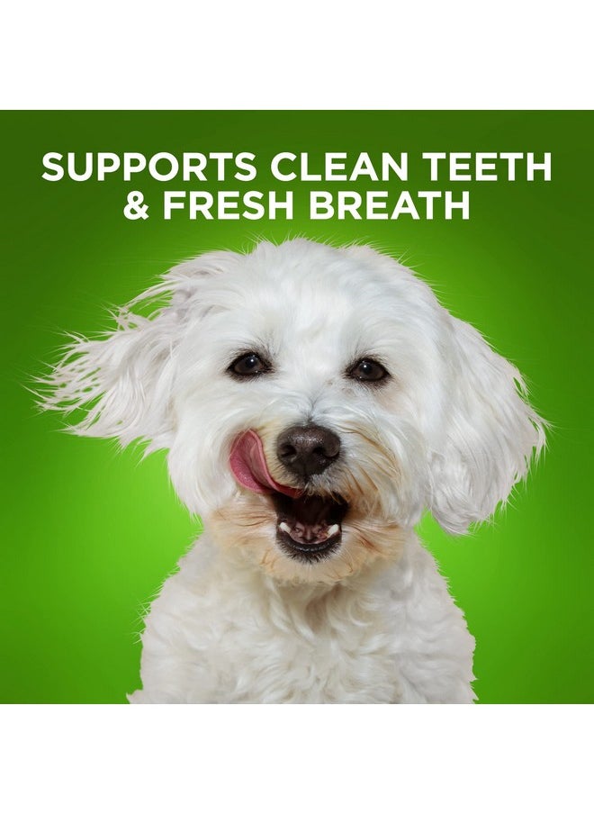 Bioactive Fresh Mouth Dental Chews  Mini Size Dog Treats  Dental Treats For Dogs  Dog Dental Chews  7.3 Ounces - pzsku/ZA601D5D75E6638969B64Z/45/_/1726219825/fc9f3ea7-dcca-4515-9ea4-8732469681f8