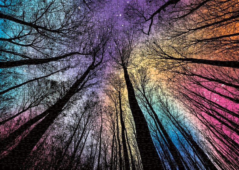 BBOLDIN Hard Impossible Puzzles for Adults 1000 Piece, Challenging Difficult Puzzles for Adults, Colorful Gradient Jigsaw Puzzle for Adult - Image 2