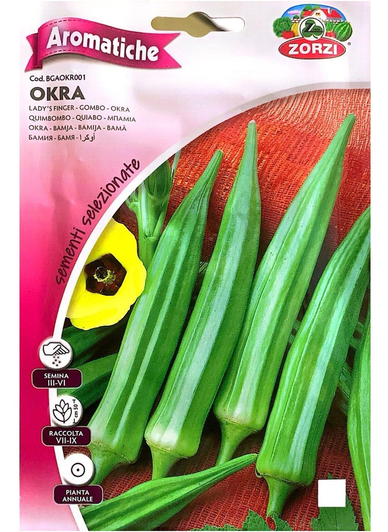 ZORZI - Okra Seeds - Image 1