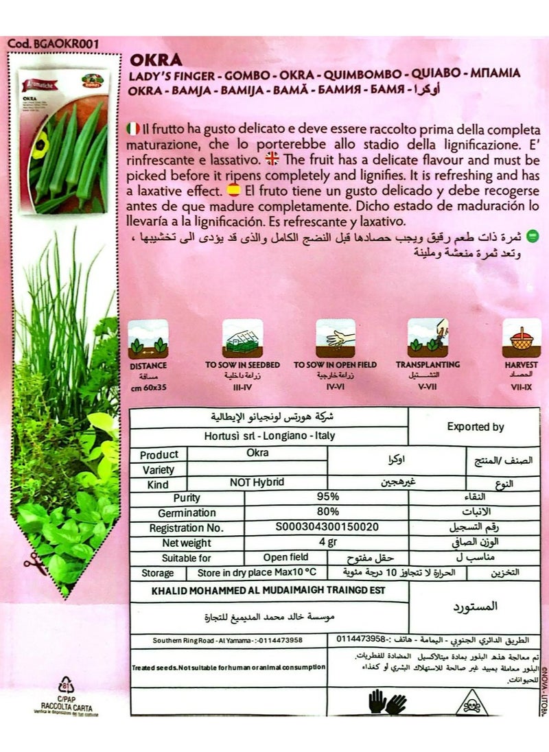 ZORZI - Okra Seeds - Image 1