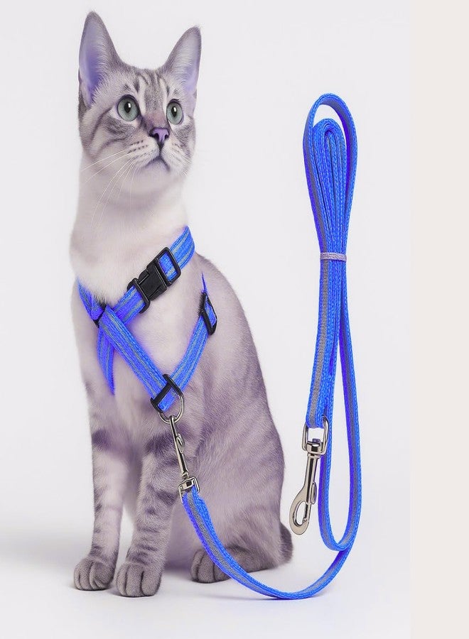 PET FUN Adjustable Cat Harness with Leash - Comfortable, Escape-Proof, Lightweight & Durable Nylon Strap with Safety Buckles - Perfect for Walking, Training & Outdoor Adventures (Blue) - Image 1