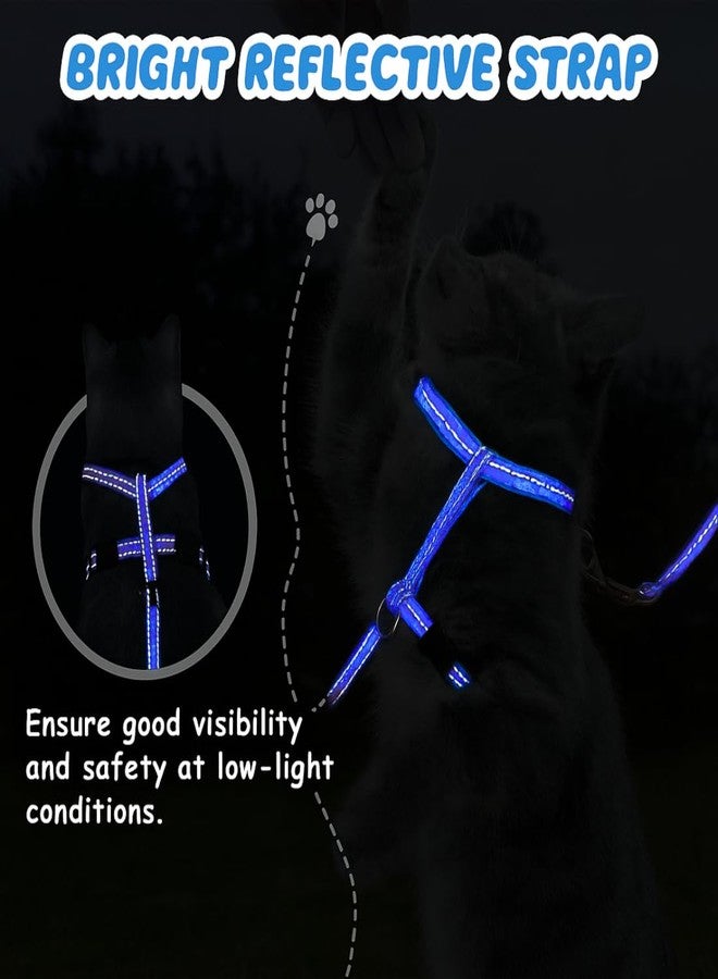 PET FUN Adjustable Cat Harness with Leash - Comfortable, Escape-Proof, Lightweight & Durable Nylon Strap with Safety Buckles - Perfect for Walking, Training & Outdoor Adventures (Blue) - Image 4