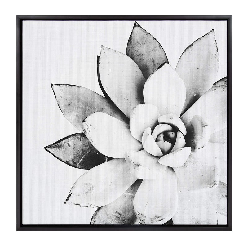 Kate and Laurel Kate and Laurel Sylvie Black and White Modern Succulent Print Framed Canvas Wall Art by Simon Te Tai 30x30 Black 