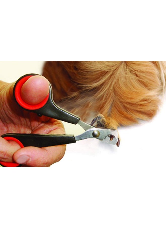 Lixit Lixit Grooming Kits For Rabbits, Guinea Pigs and other Small Animals. (2 Piece Kit)  - Image 2
