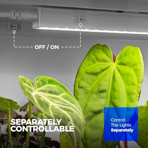Barrina Grow Lights for Indoor Plants, 1ft Plant Lights for Indoor Growing, 5000K White Full Spectrum Grow Light, Individual Switch, T5 Grow Light Strip, Plug and Play, 8-Pack - Image 5