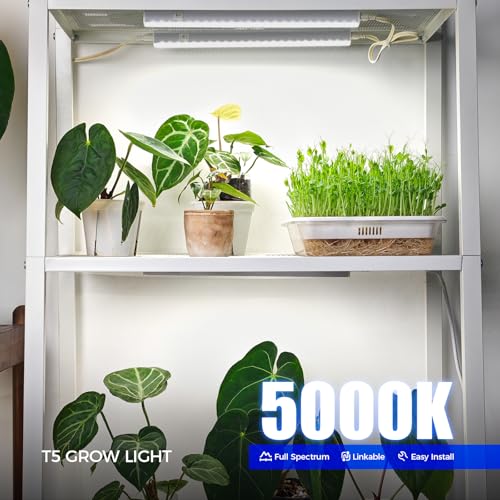 Barrina Grow Lights for Indoor Plants, 1ft Plant Lights for Indoor Growing, 5000K White Full Spectrum Grow Light, Individual Switch, T5 Grow Light Strip, Plug and Play, 8-Pack - Image 2