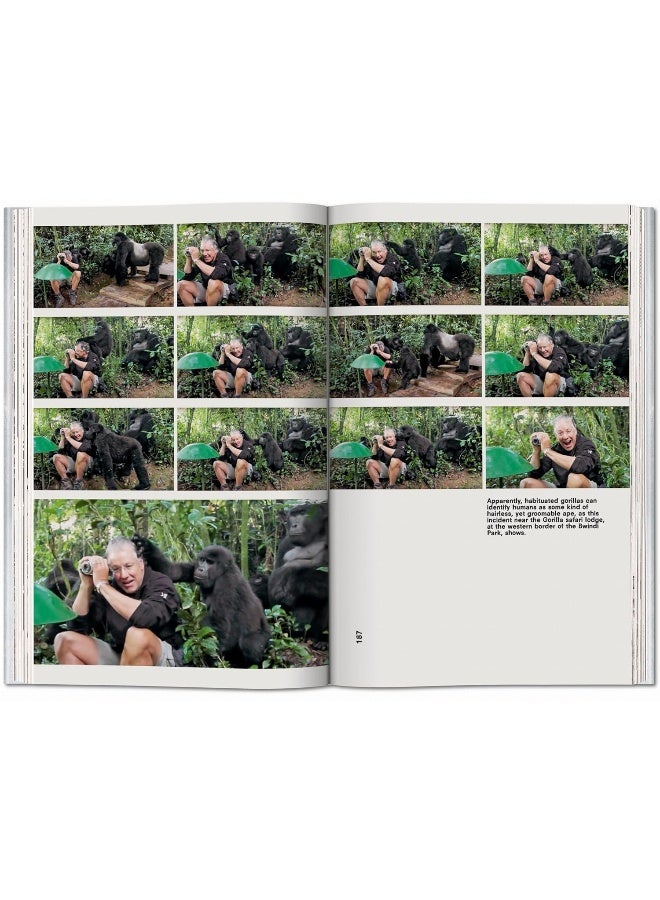 Koolhaas. Countryside. A Report  - Image 4
