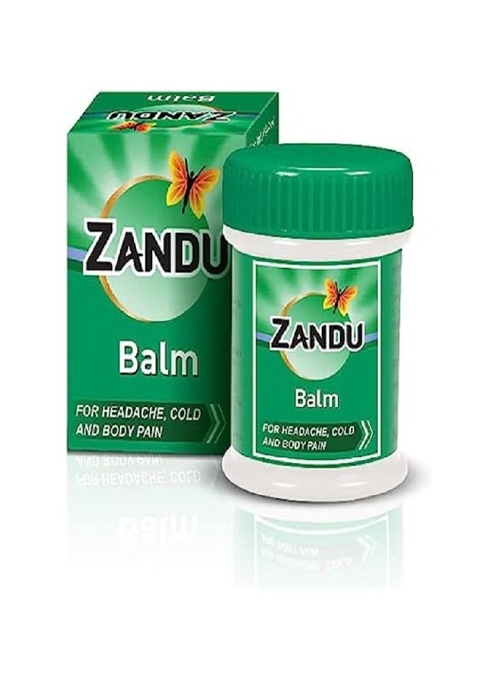 Headache, Cold, Body Pain Relief Zanu Balm