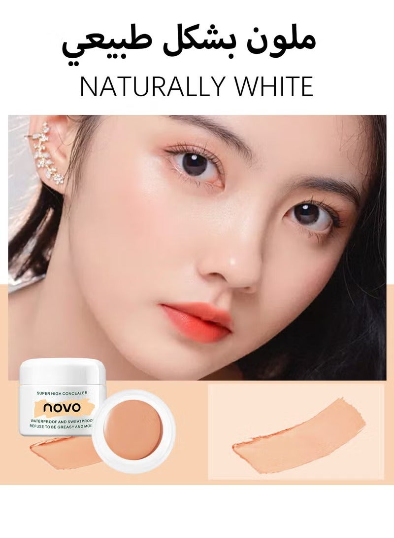 نوفو سوبر عالي الإخفاء، كامل التغطية غير التشحيم الإضاءة تحت إخفاء العين، خفيف الوزن طويل الأمد الترطيب أخف للمرأة، إنشاء طبيعي، نظيف 3D المظهر 12 ج - Image 2