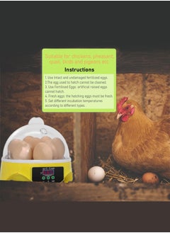 MARGOUN Mini Fully Automatic Egg Incubatorwith LED Flashlight Torch, 7 Eggs Intelligent Home Temperature Control Incubator for Chicken Duck Goose Quail Birds Fertile Eggs  - Image 4