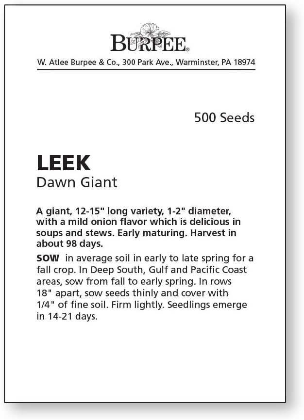 Burpee Dawn Giant Leek Seeds 500 seeds - Image 3