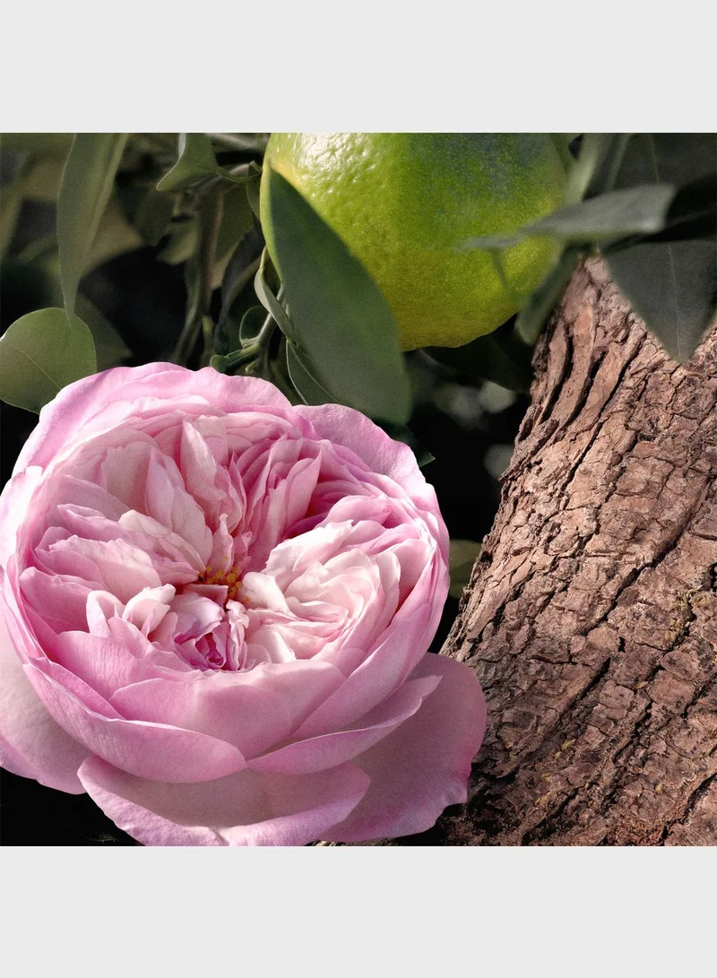 Chloe Rose Naturelle Intense EDP 50ml