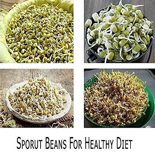 Sixfire Sprout Maker with 3 Compartments for Multi Purpose Use Plastic Grocery Container Sprouted Grains Seeds Dal Channa Chole Ragi Organic Sprouting Jar 3Layer - Image 5