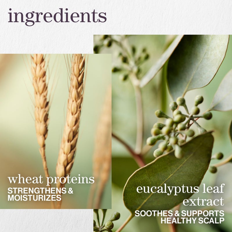 Pureology Hydrate Sheer Shampoo - Lightweight, Moisturizing Shampoo For Fine, Dry, Color Treated Hair, Sulfate-Free & Vegan, 1.7 Fl Oz - Image 4