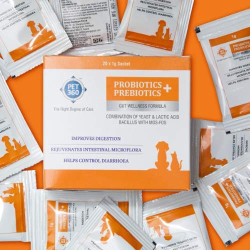 PET360 PROBIOTICS + PREBIOTICS Gut Wellness Formula for Dogs & Cats | Probiotic Supplement | Prevents Diarrhea & Indigestion | Cat & Dog Gut Health Supplement for Improved Immunity - 20 Sachets - Image 2