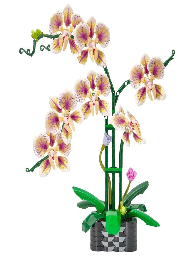 TNDCKP Orchid Flowers Building Block Sets, Compatible with Lego 853792 Accessory, Artificial Plant, Botanical Collection for Home, Kitchen, Desk Decor, Best Gift for Mom, Kids, 4+(White 736Pcs) - Image 1