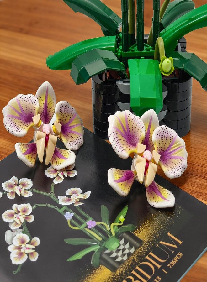 TNDCKP Orchid Flowers Building Block Sets, Compatible with Lego 853792 Accessory, Artificial Plant, Botanical Collection for Home, Kitchen, Desk Decor, Best Gift for Mom, Kids, 4+(White 736Pcs) - Image 3