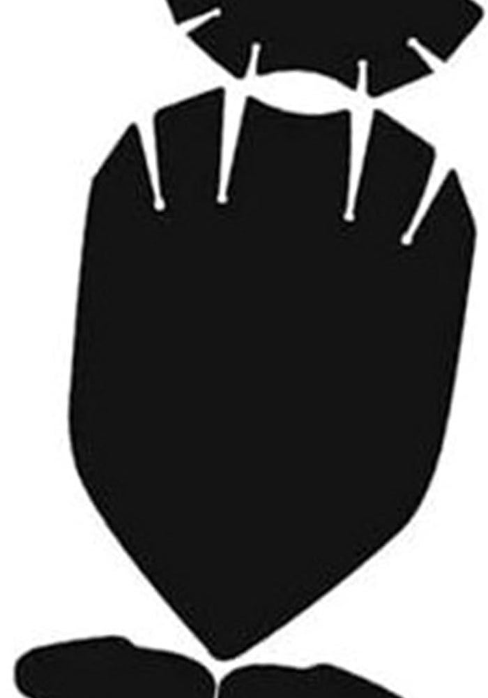 DEMULAX Motorcycle Dashboard Screen Protector - Image 1